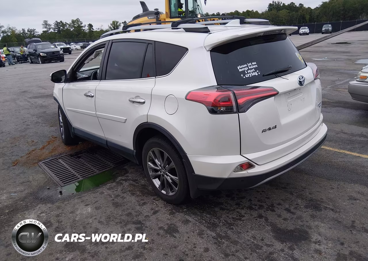 2017 Toyota Rav4 Limited VIN:JTMDFREV5HJ712566 - 3
