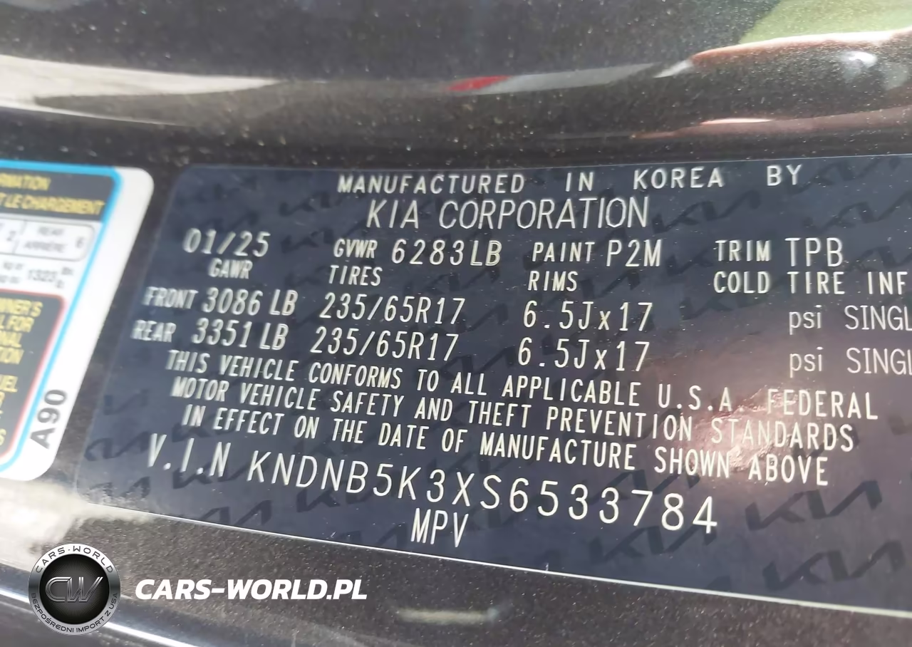 2025 Kia Carnival Mpv Lxs VIN:KNDNB5K3XS6533784 - 9