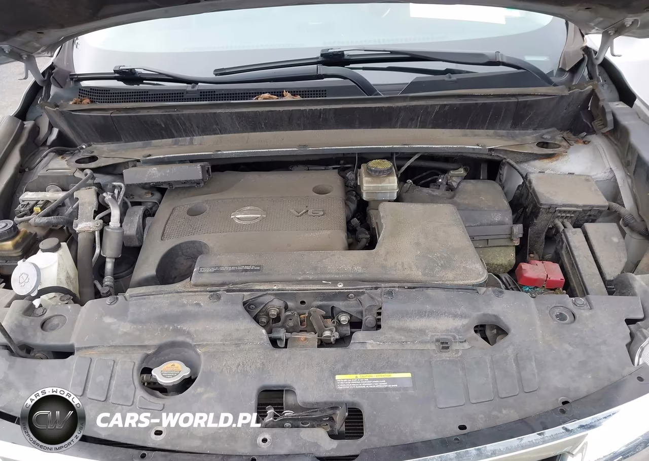 2016 Nissan Pathfinder Platinum VIN:5N1AR2MMXGC646959 - 10