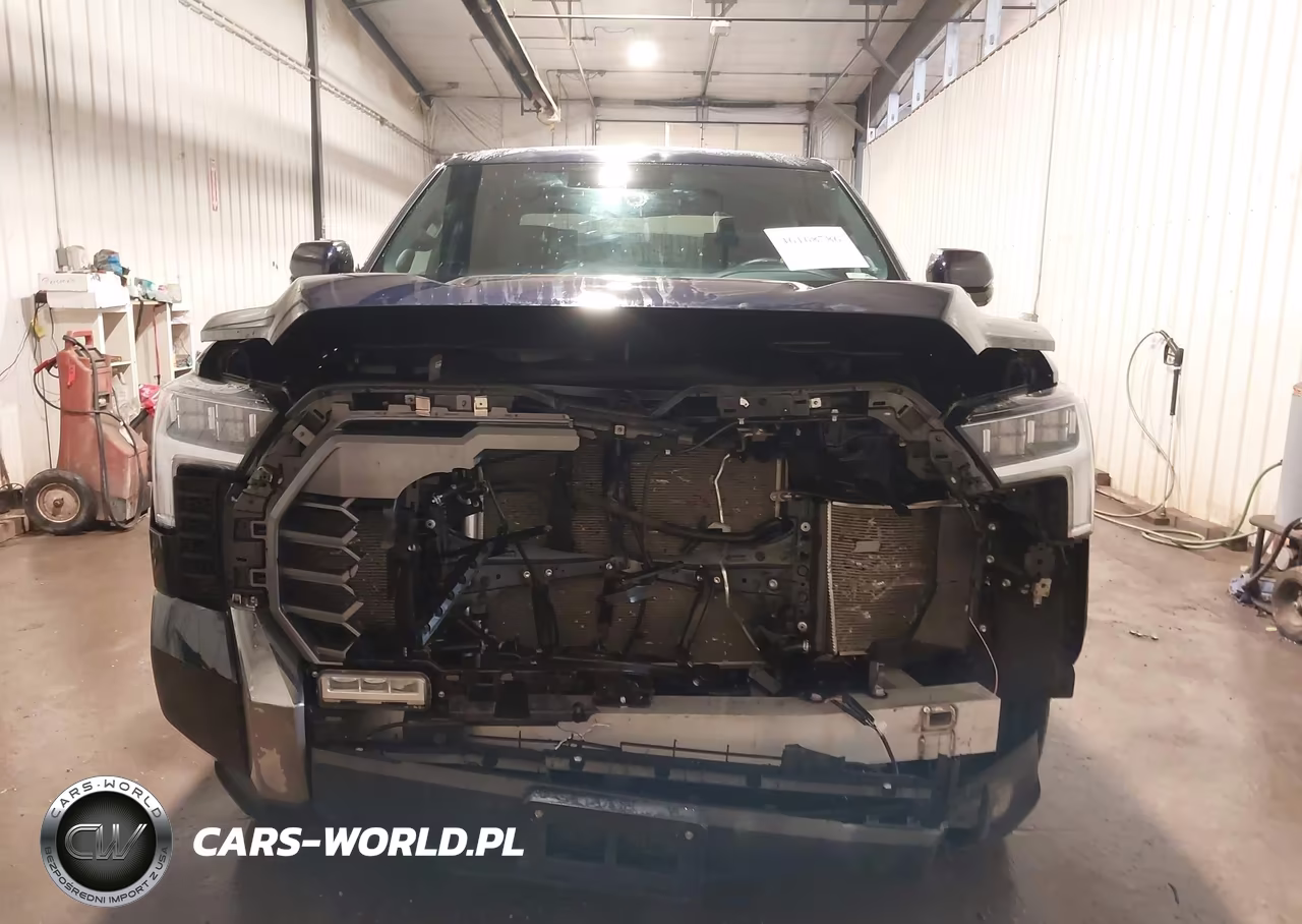 2025 Toyota Tundra Platinum VIN:5TFWA5DB1SX269909 - 13