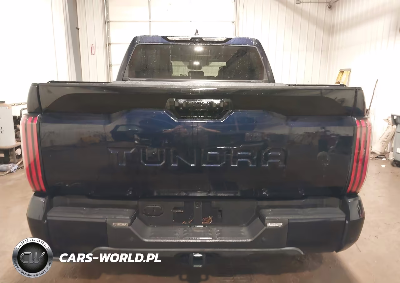 2025 Toyota Tundra Platinum VIN:5TFWA5DB1SX269909 - 17