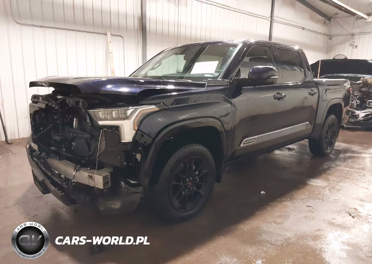 2025 Toyota Tundra Platinum VIN:5TFWA5DB1SX269909 - 2