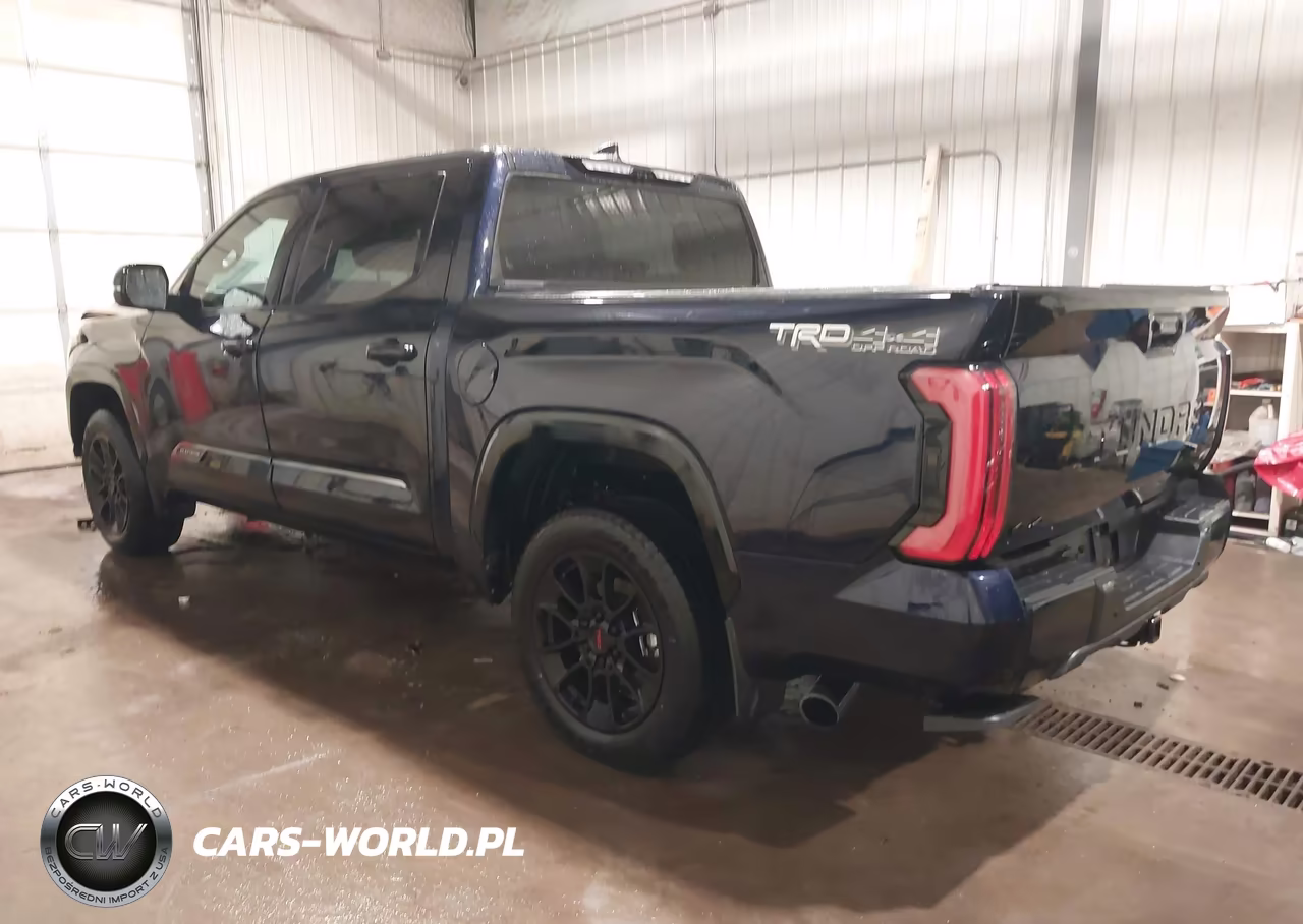 2025 Toyota Tundra Platinum VIN:5TFWA5DB1SX269909 - 3