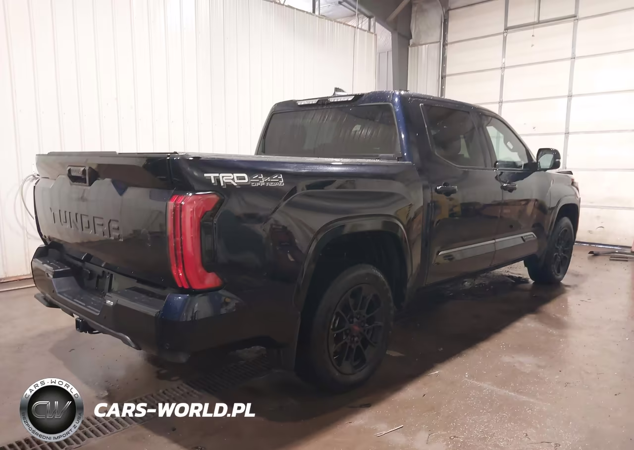2025 Toyota Tundra Platinum VIN:5TFWA5DB1SX269909 - 4