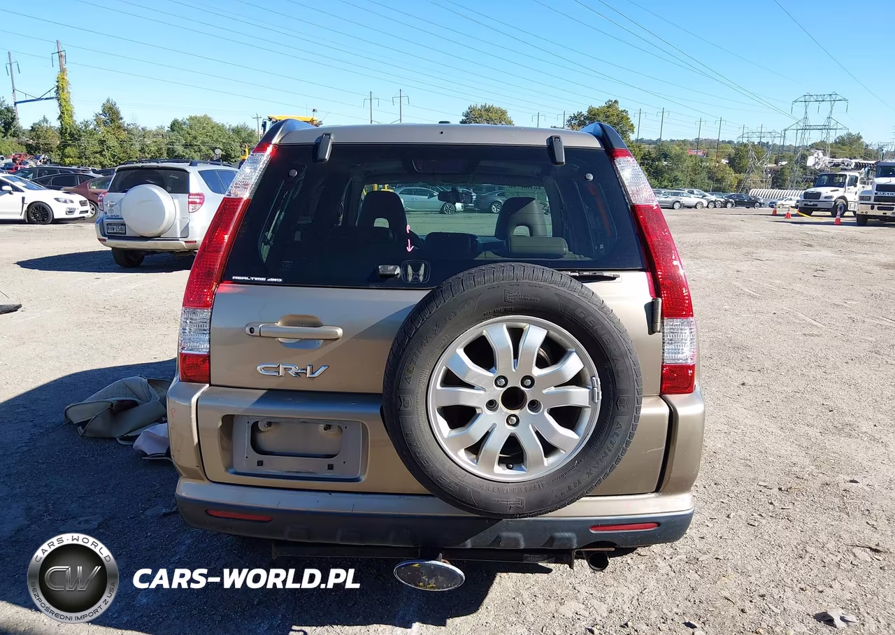 2006 Honda Cr-V Se VIN:JHLRD78996C039767 - 17
