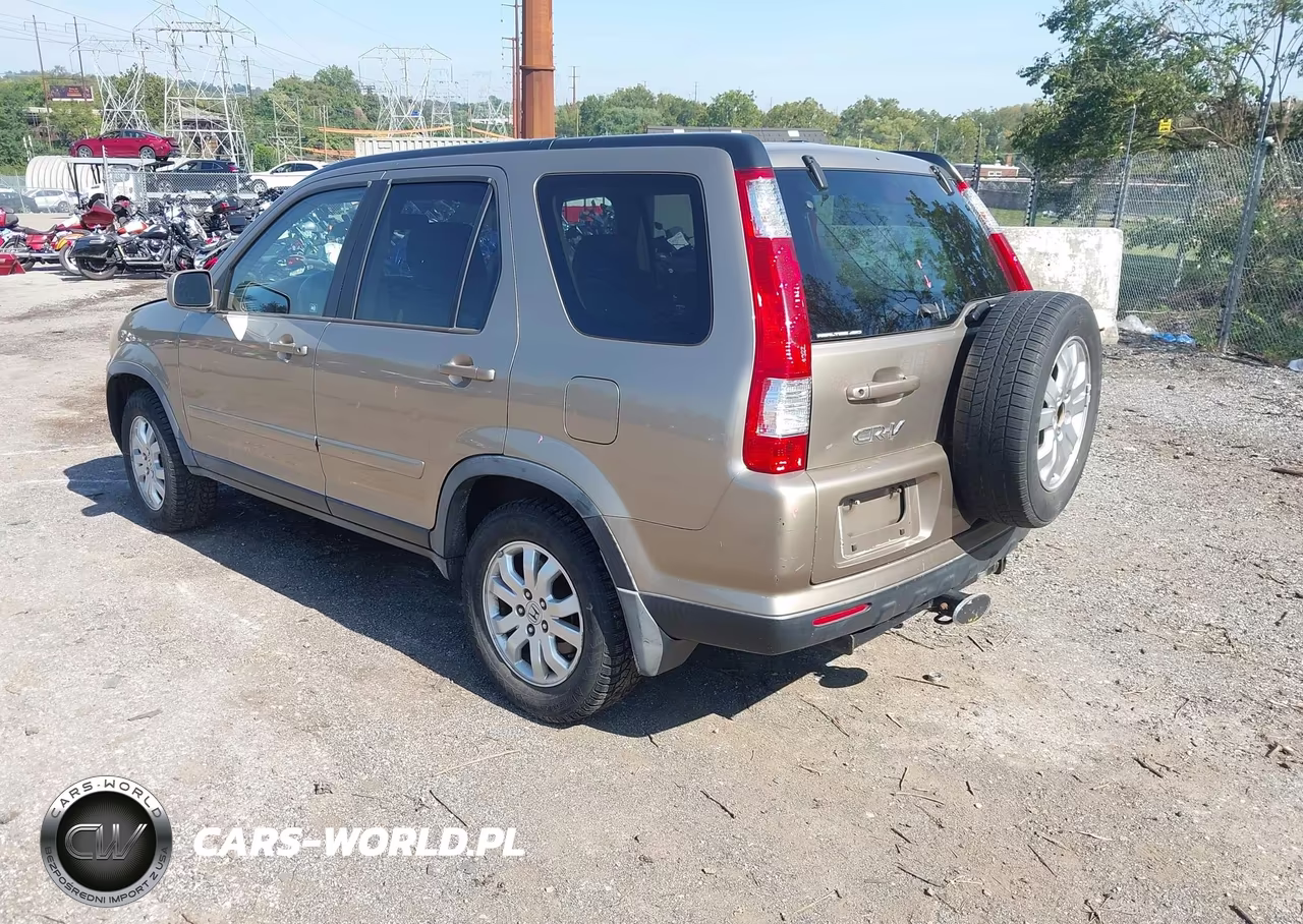 2006 Honda Cr-V Se VIN:JHLRD78996C039767 - 3