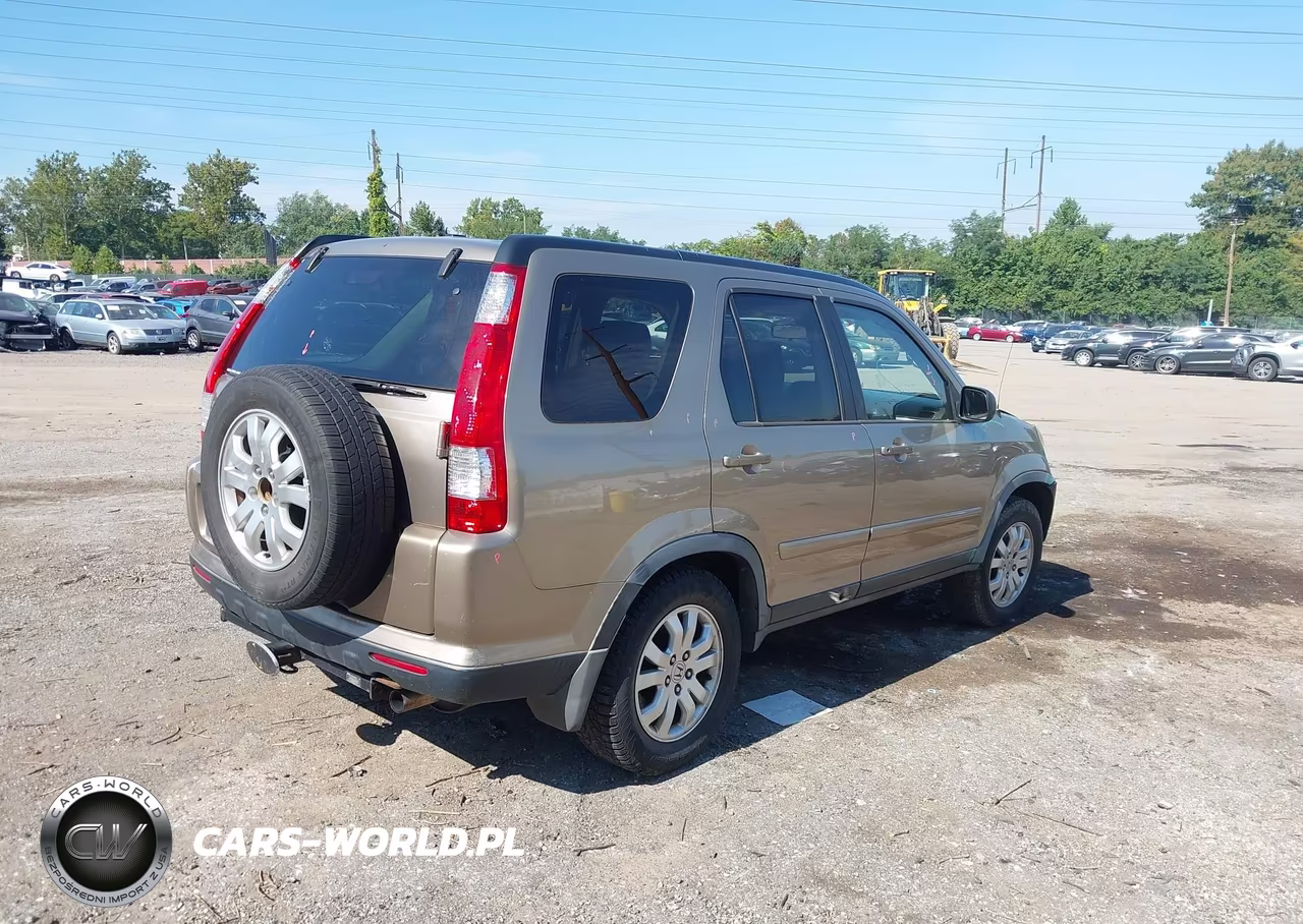 2006 Honda Cr-V Se VIN:JHLRD78996C039767 - 4