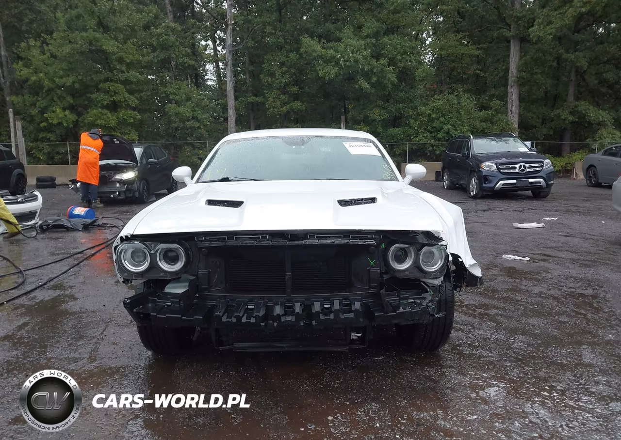 2018 Dodge Challenger Sxt VIN:2C3CDZAG1JH246686 - 13