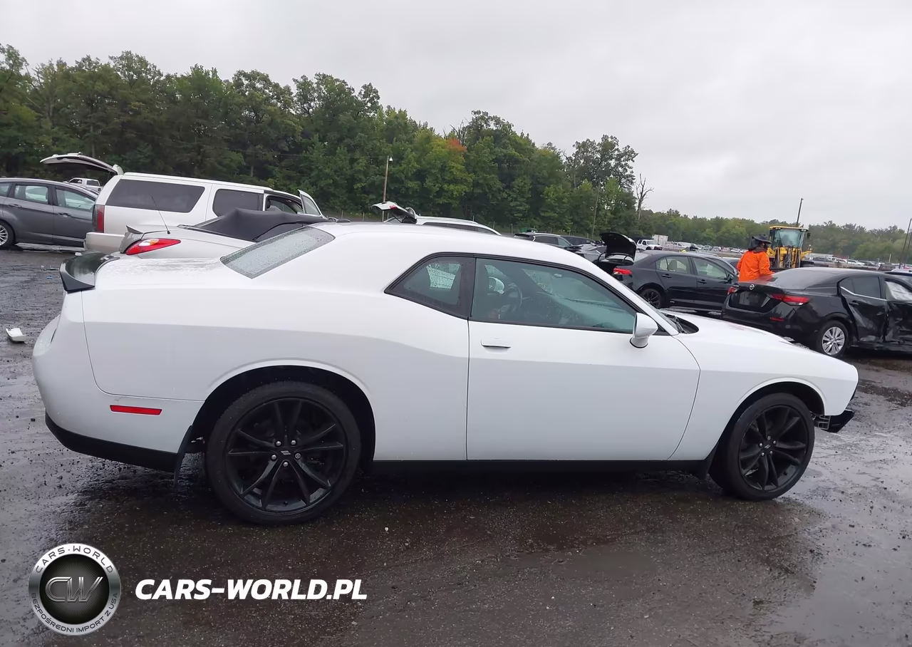 2018 Dodge Challenger Sxt VIN:2C3CDZAG1JH246686 - 14