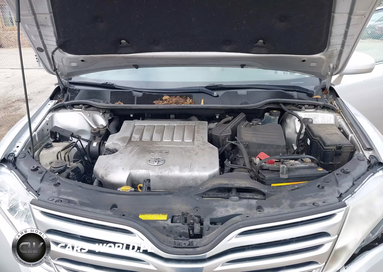 2009 Toyota Venza Base V6 VIN:4T3BK11A29U007119 - 10