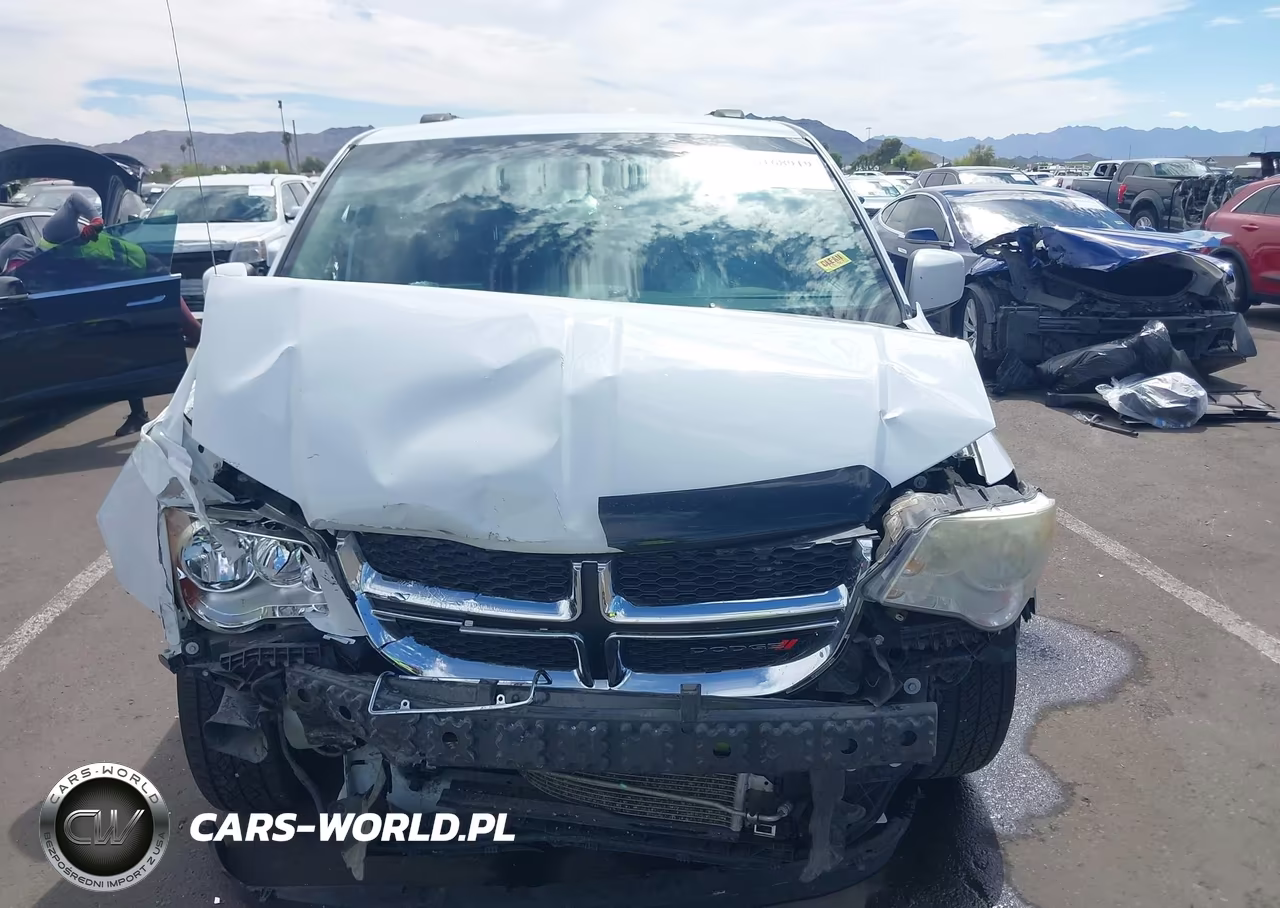 2014 Dodge Grand Caravan Sxt VIN:2C4RDGCG4ER265904 - 13