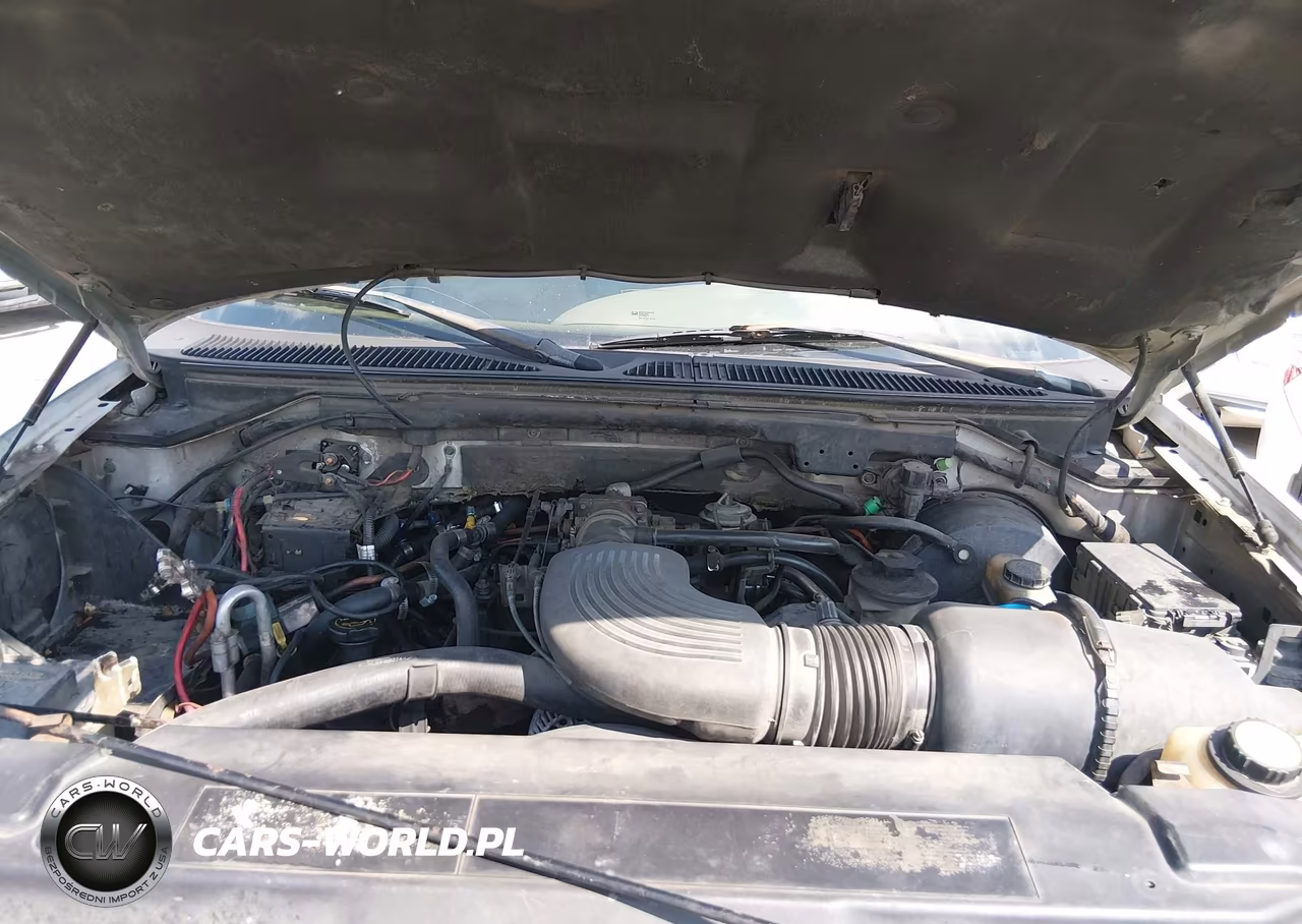 2001 Ford Expedition Eddie Bauer VIN:1FMRU17L51LB21555 - 10
