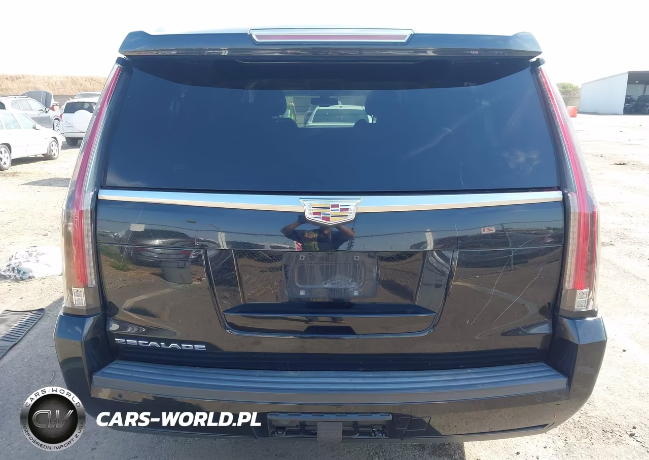 2016 Cadillac Escalade Esv Standard VIN:1GYS3GKJXGR392371 - 16