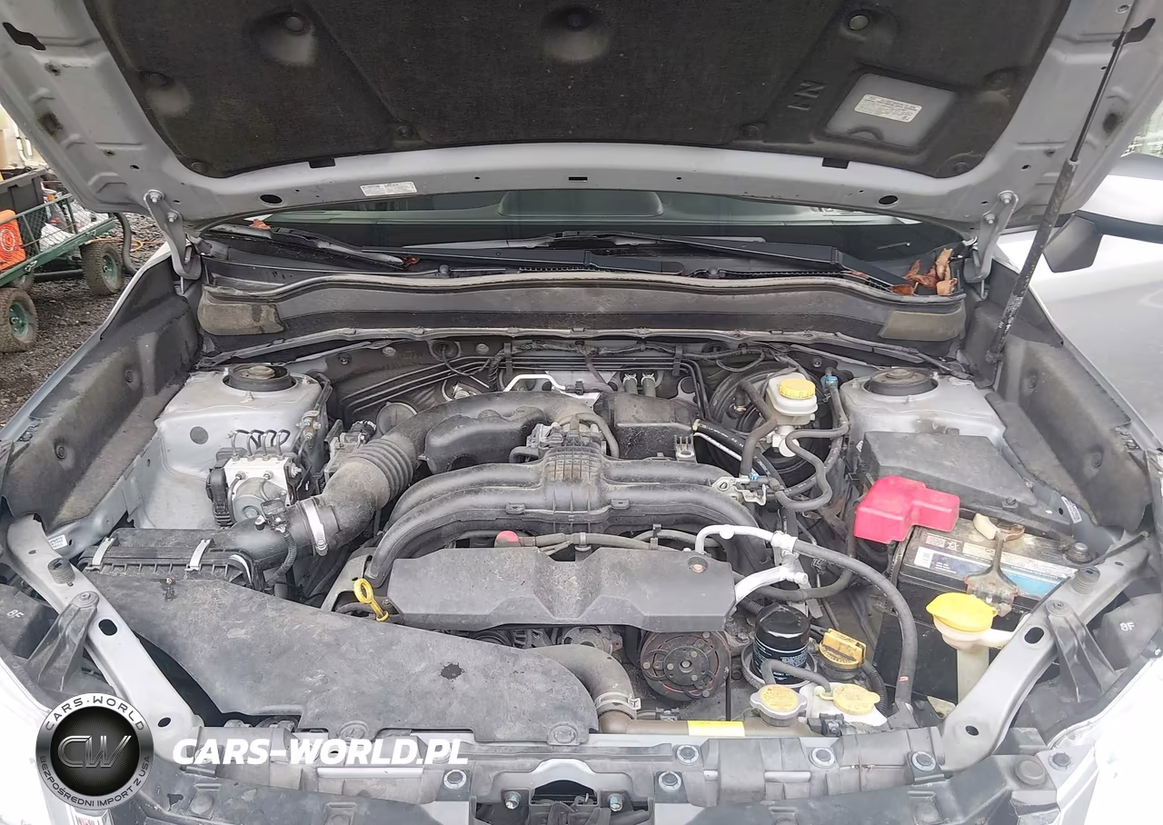2014 Subaru Forester 2.5I Premium VIN:JF2SJAEC5EH484272 - 10