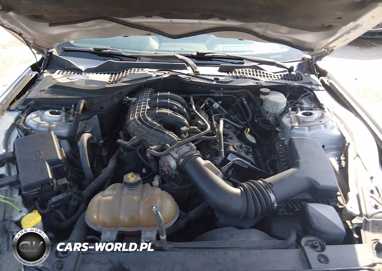 2015 Ford Mustang V6 VIN:1FA6P8AMXF5313970 - 10