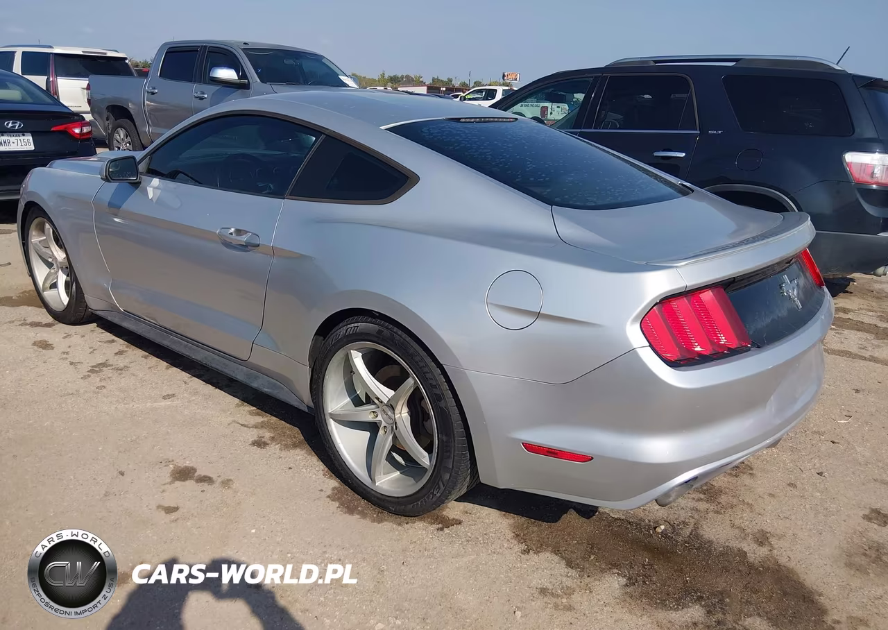 2015 Ford Mustang V6 VIN:1FA6P8AMXF5313970 - 3