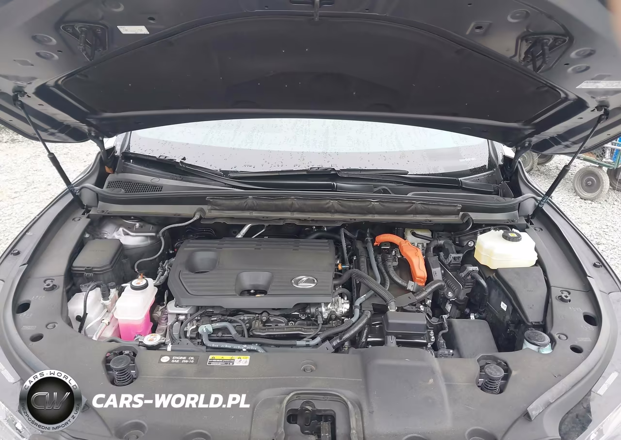 2023 Lexus Rx 350H Premium Plus VIN:2T2BBMCAXPC020802 - 10