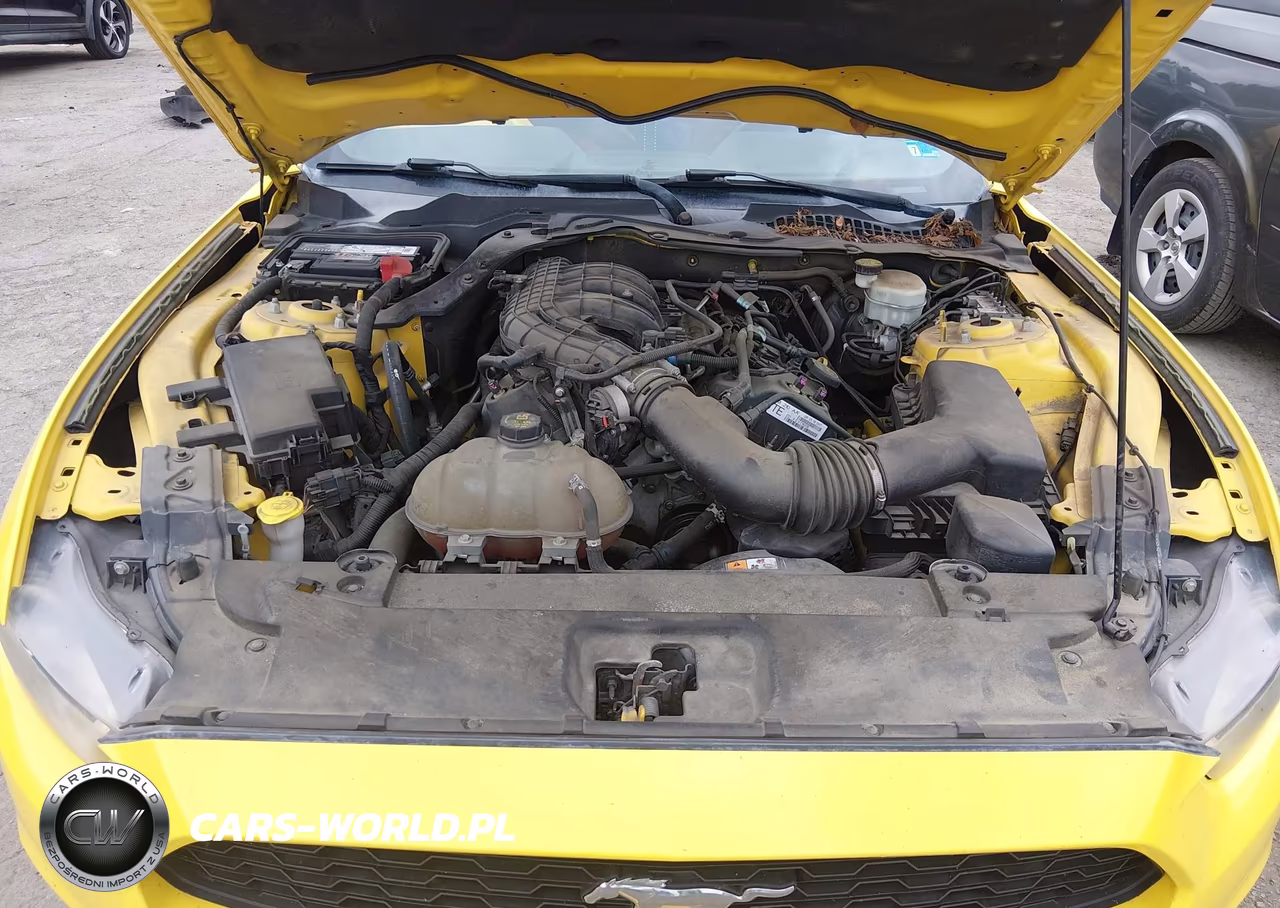 2015 Ford Mustang V6 VIN:1FA6P8AM8F5348197 - 10