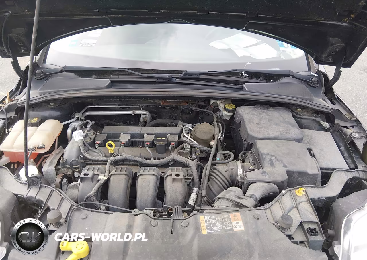 2014 Ford Focus Se VIN:1FADP3K27EL335877 - 10