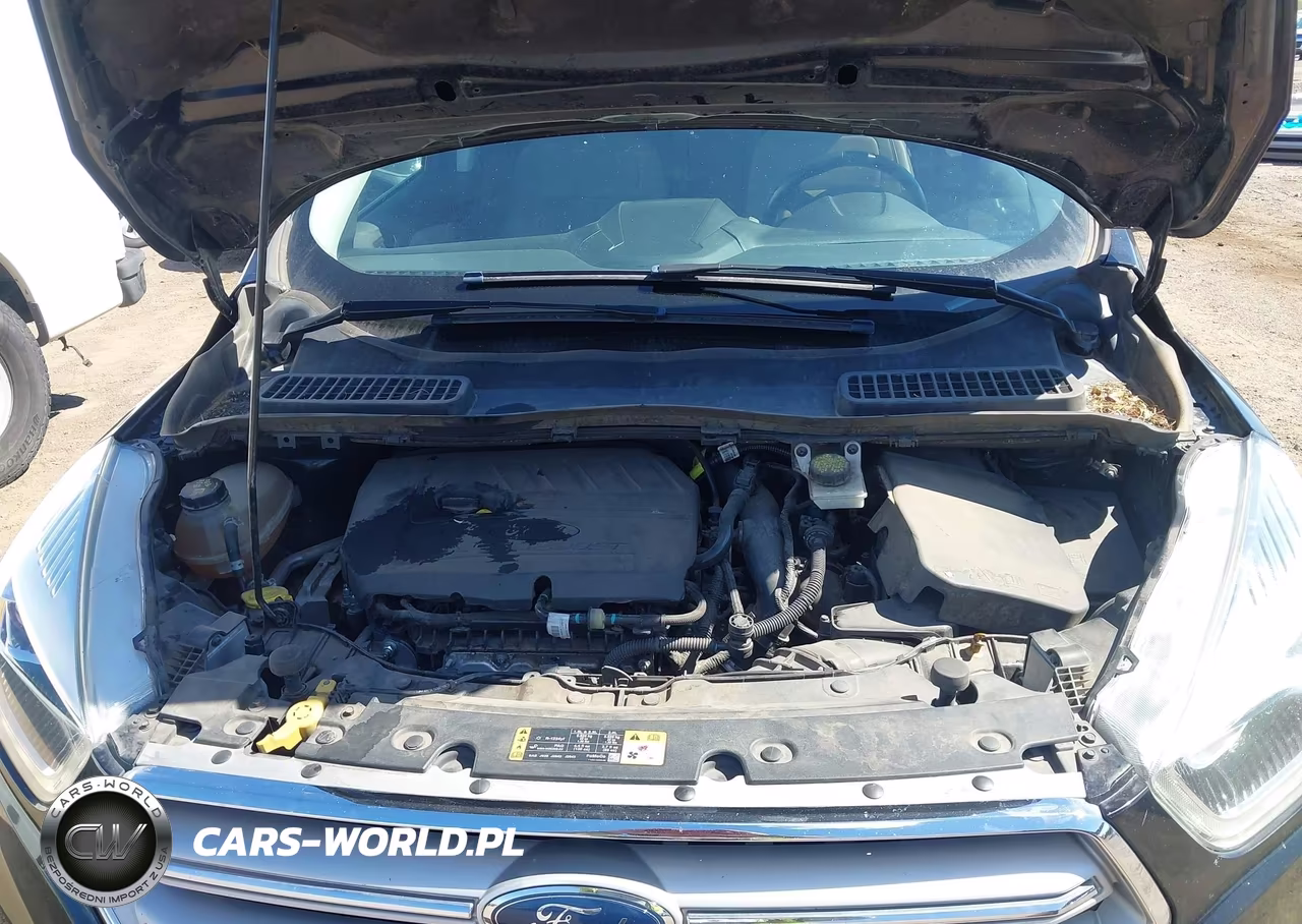 2019 Ford Escape Sel VIN:1FMCU0HD1KUA25537 - 10
