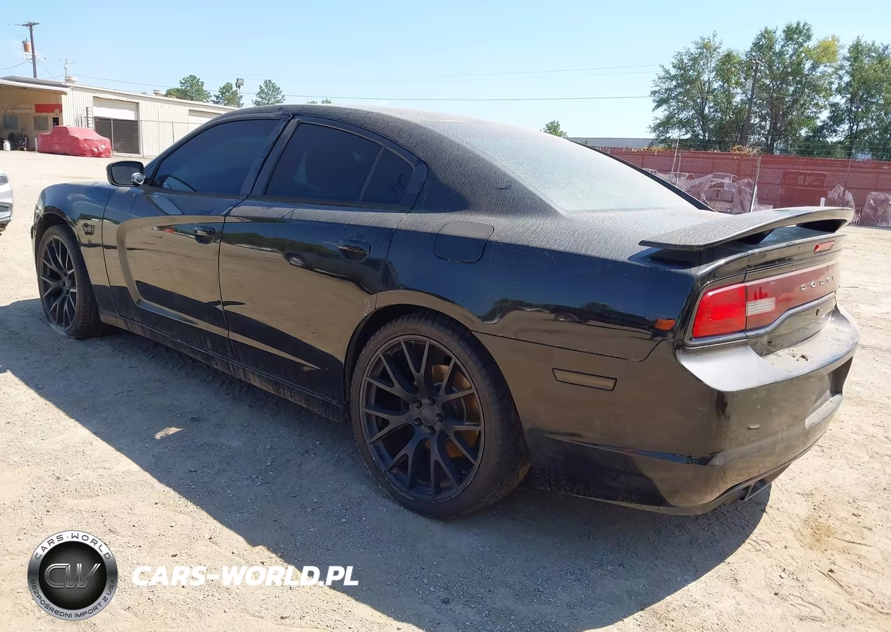 2014 Dodge Charger Police VIN:2C3CDXAT5EH172180 - 3