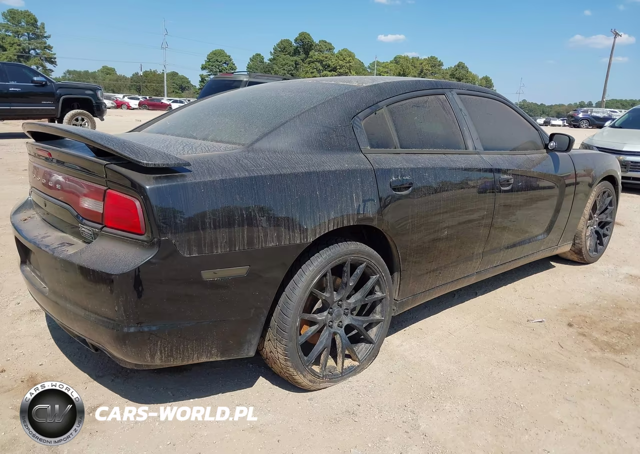 2014 Dodge Charger Police VIN:2C3CDXAT5EH172180 - 4