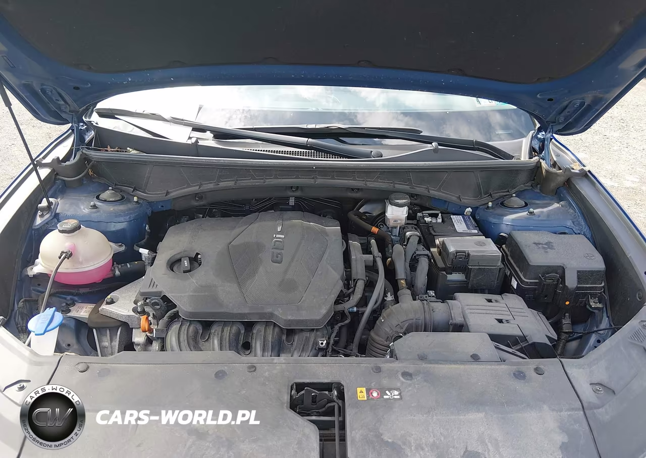 2023 Hyundai Tucson Limited VIN:5NMJECAEXPH235050 - 10