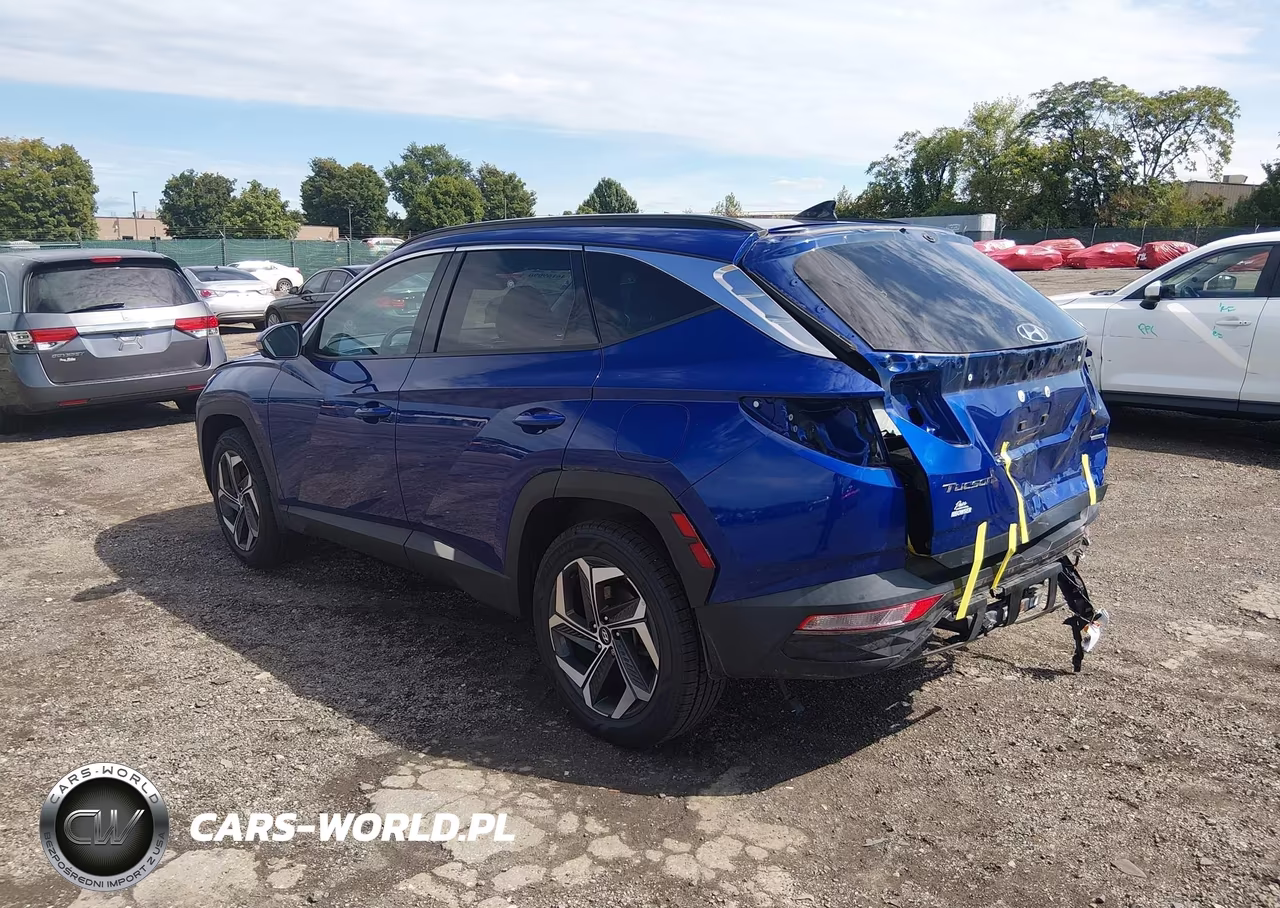 2023 Hyundai Tucson Limited VIN:5NMJECAEXPH235050 - 3