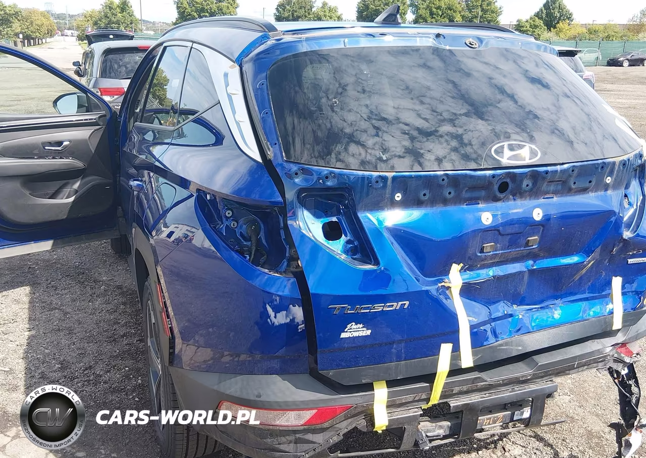 2023 Hyundai Tucson Limited VIN:5NMJECAEXPH235050 - 6