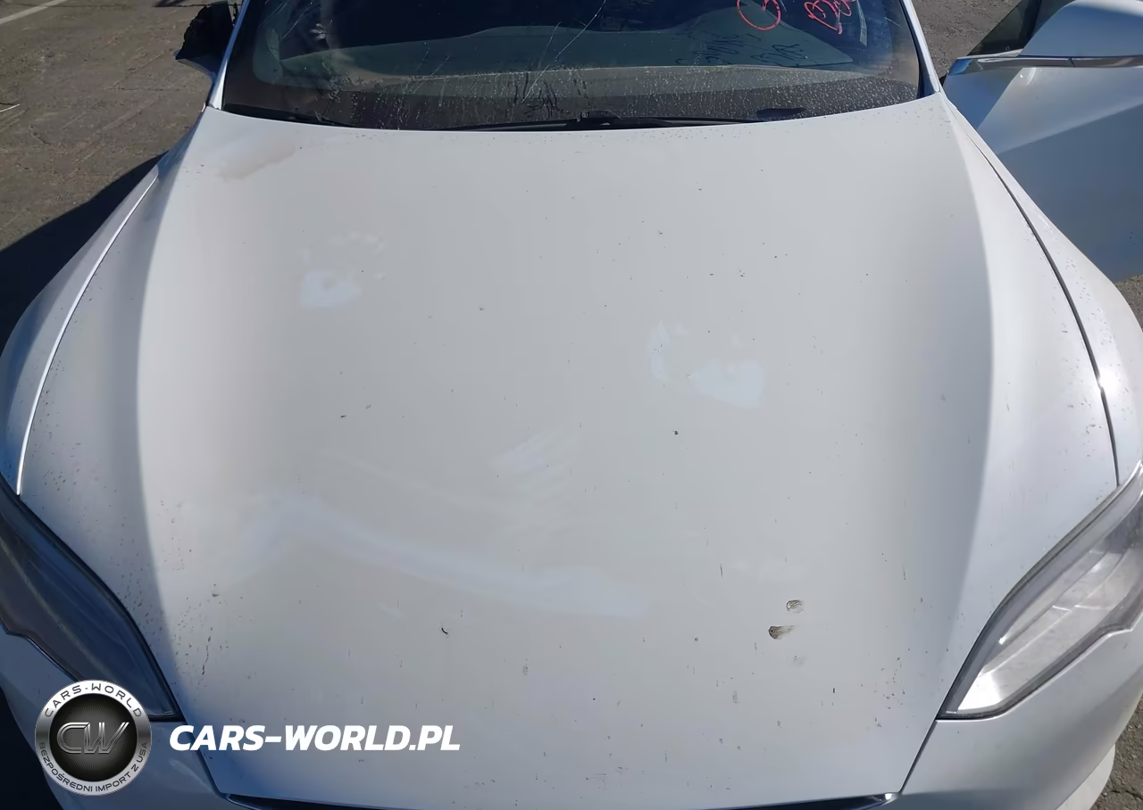 2021 Tesla Model S Long Range Dual Motor All-Wheel Drive-Long Range Plus Dual Motor All-Wheel Drive VIN:5YJSA1E29MF424662 - 10