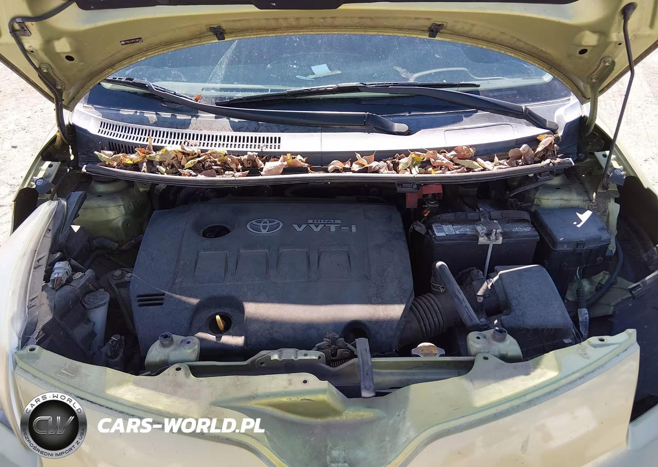 2009 Scion Xd VIN:JTKKU10499J049106 - 10