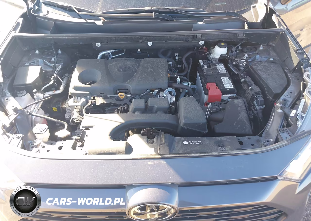 2025 Toyota Rav4 Xle VIN:2T3P1RFV9SC509619 - 10