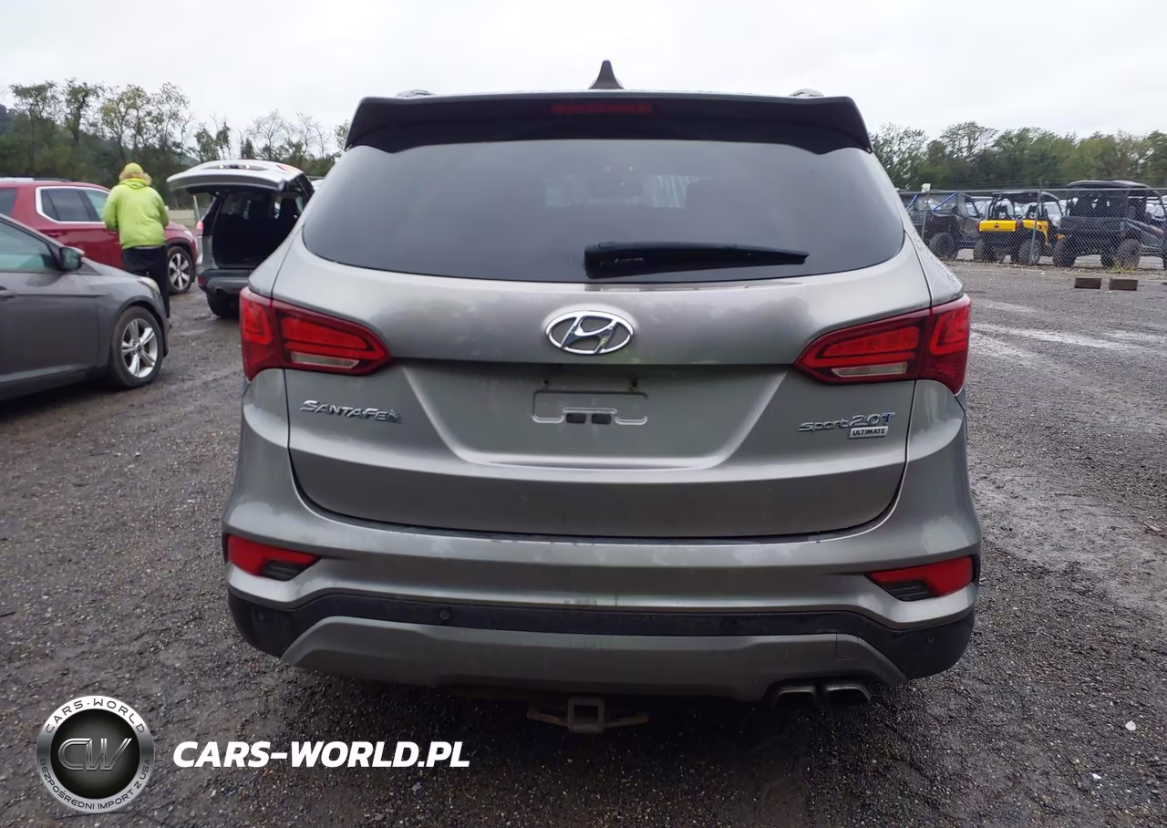 2017 Hyundai Santa Fe Sport 2.0T Ultimate VIN:5XYZW4LA8HG388344 - 16