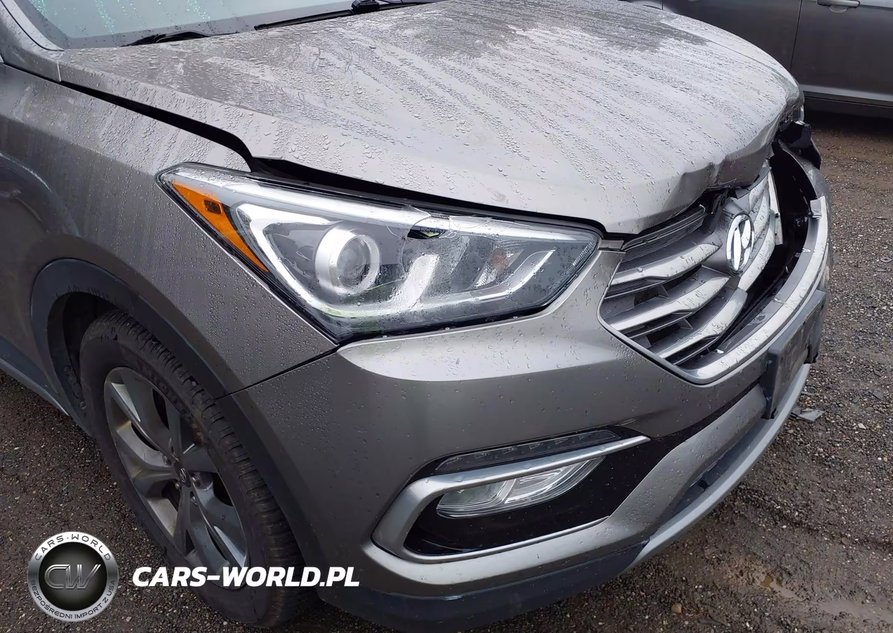 2017 Hyundai Santa Fe Sport 2.0T Ultimate VIN:5XYZW4LA8HG388344 - 17