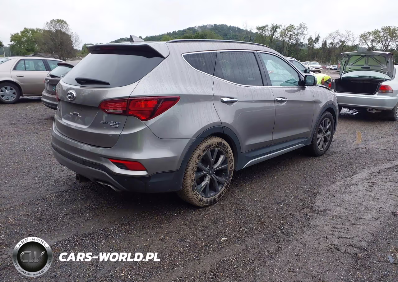 2017 Hyundai Santa Fe Sport 2.0T Ultimate VIN:5XYZW4LA8HG388344 - 4