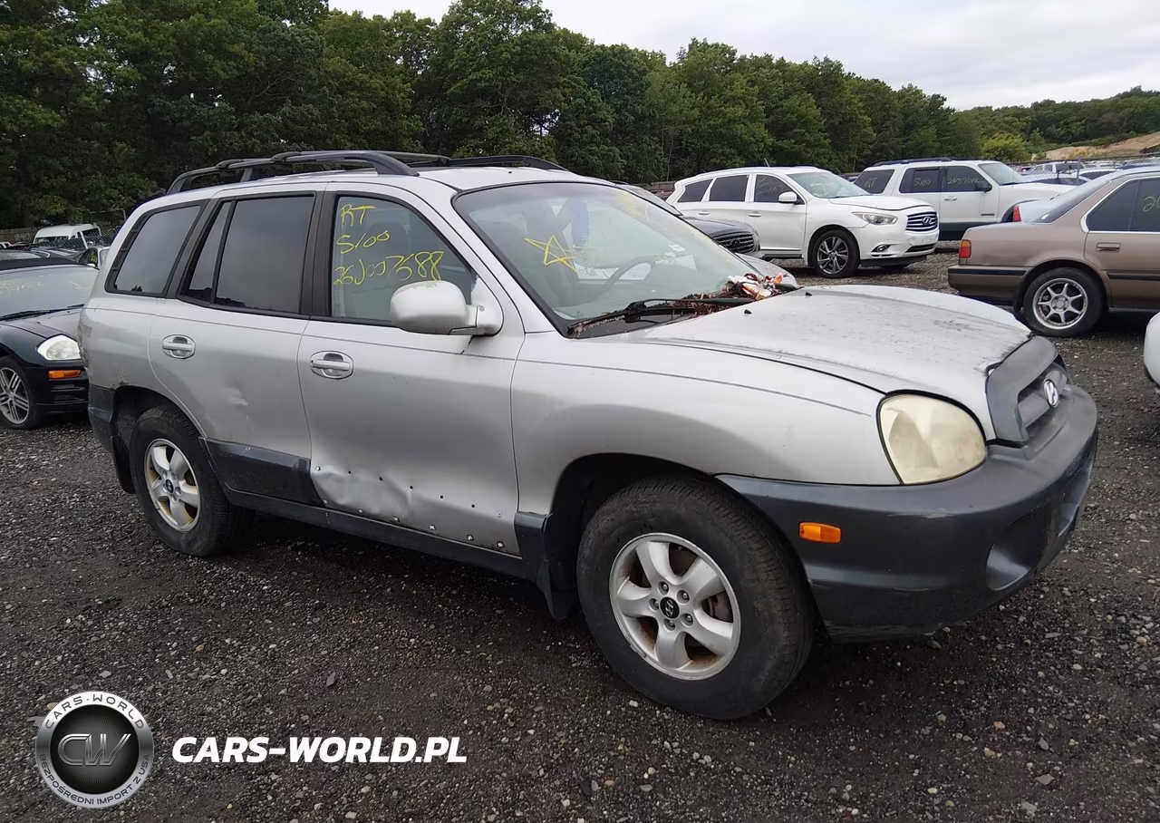 2006 Hyundai Santa Fe Gls – zdjęcie 1 z 11
