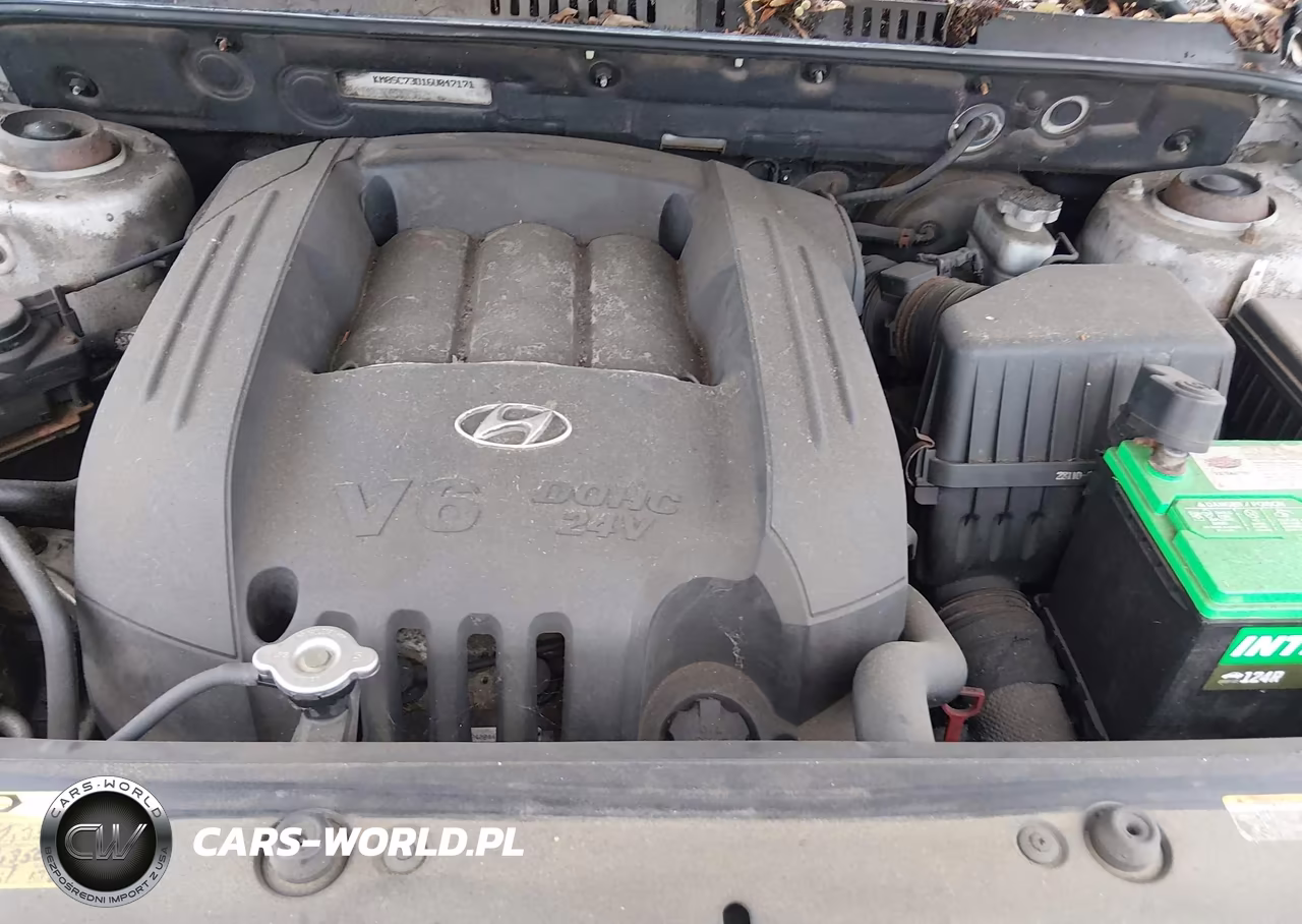 2006 Hyundai Santa Fe Gls VIN:KM8SC73D16U047171 - 10