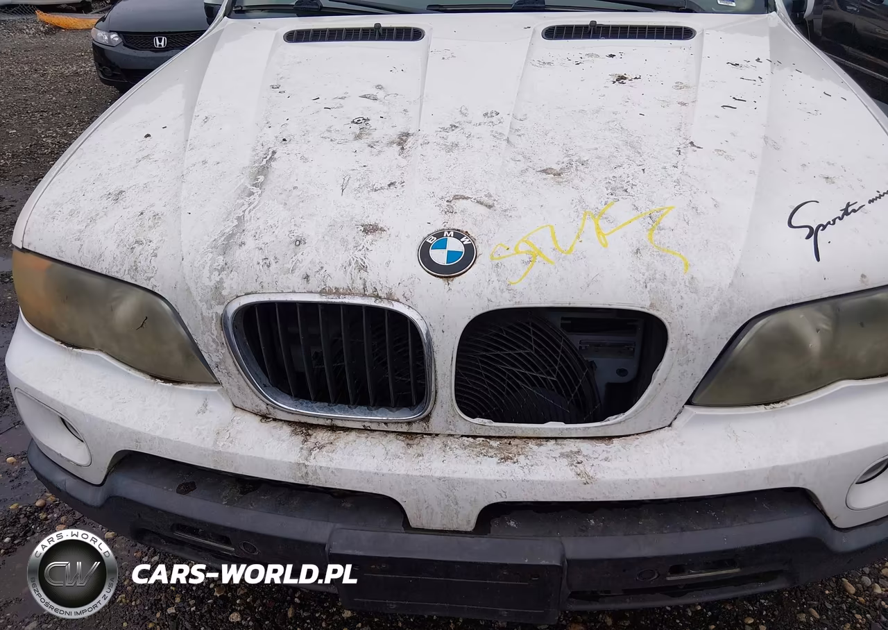 2005 BMW X5 3.0I VIN:5UXFA13535LY00784 - 10