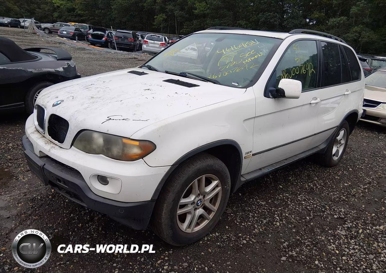 2005 BMW X5 3.0I VIN:5UXFA13535LY00784 - 2