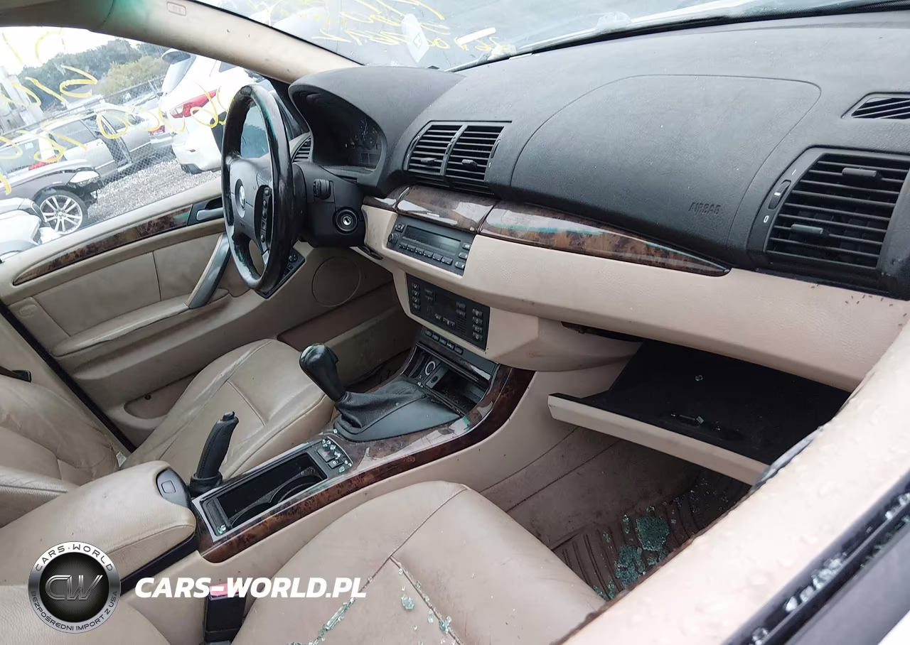2005 BMW X5 3.0I VIN:5UXFA13535LY00784 - 5