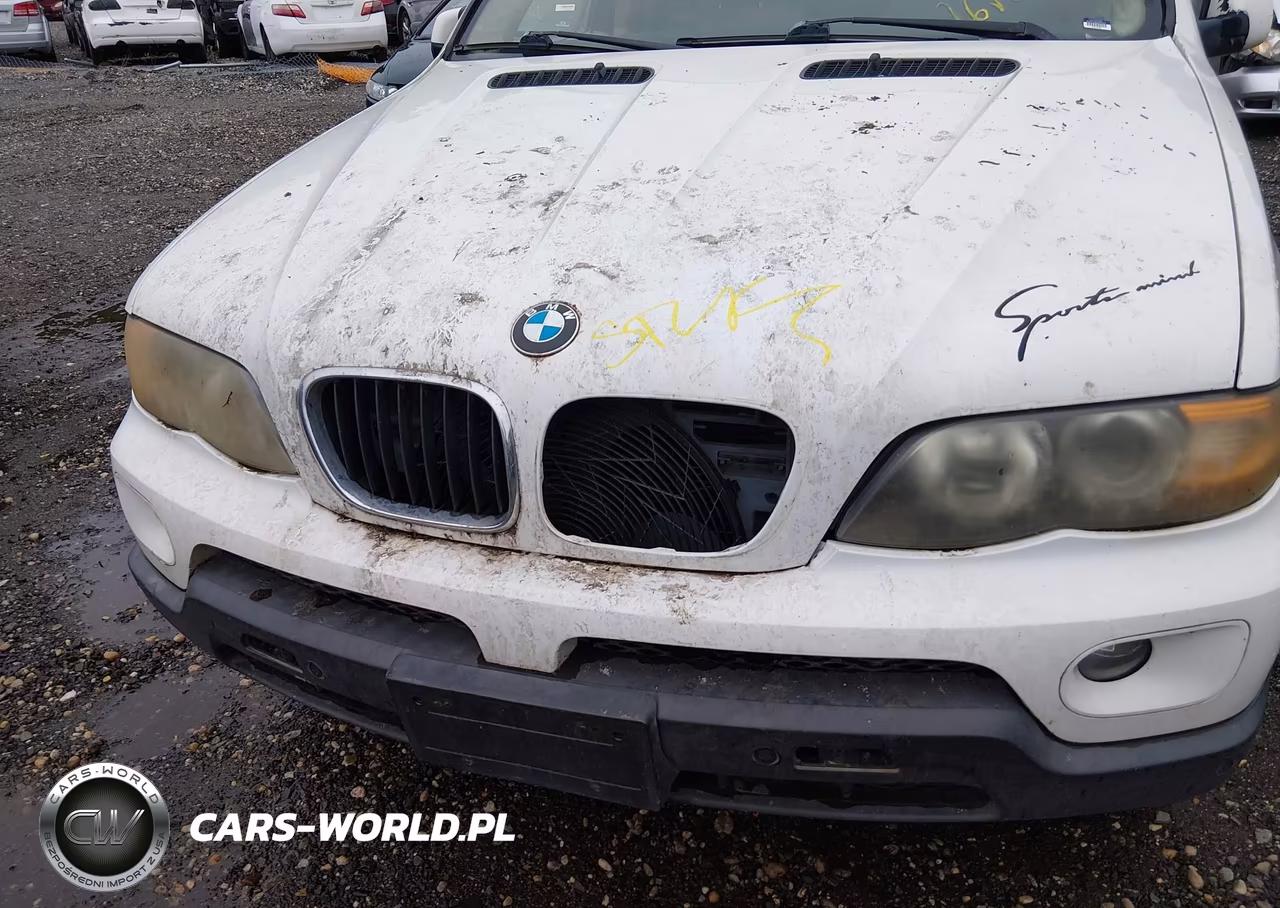2005 BMW X5 3.0I VIN:5UXFA13535LY00784 - 6