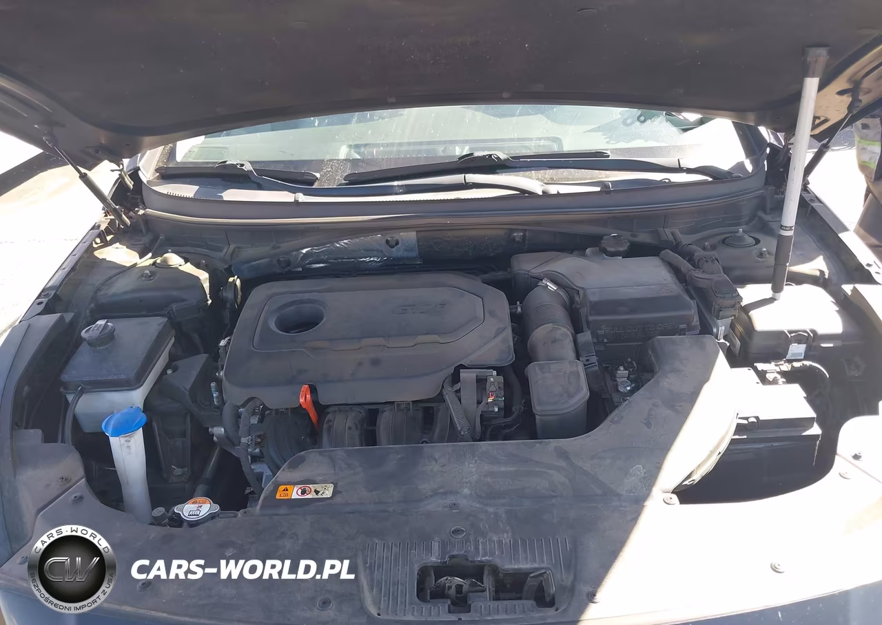 2016 Hyundai Sonata Se VIN:5NPE24AF8GH317225 - 10