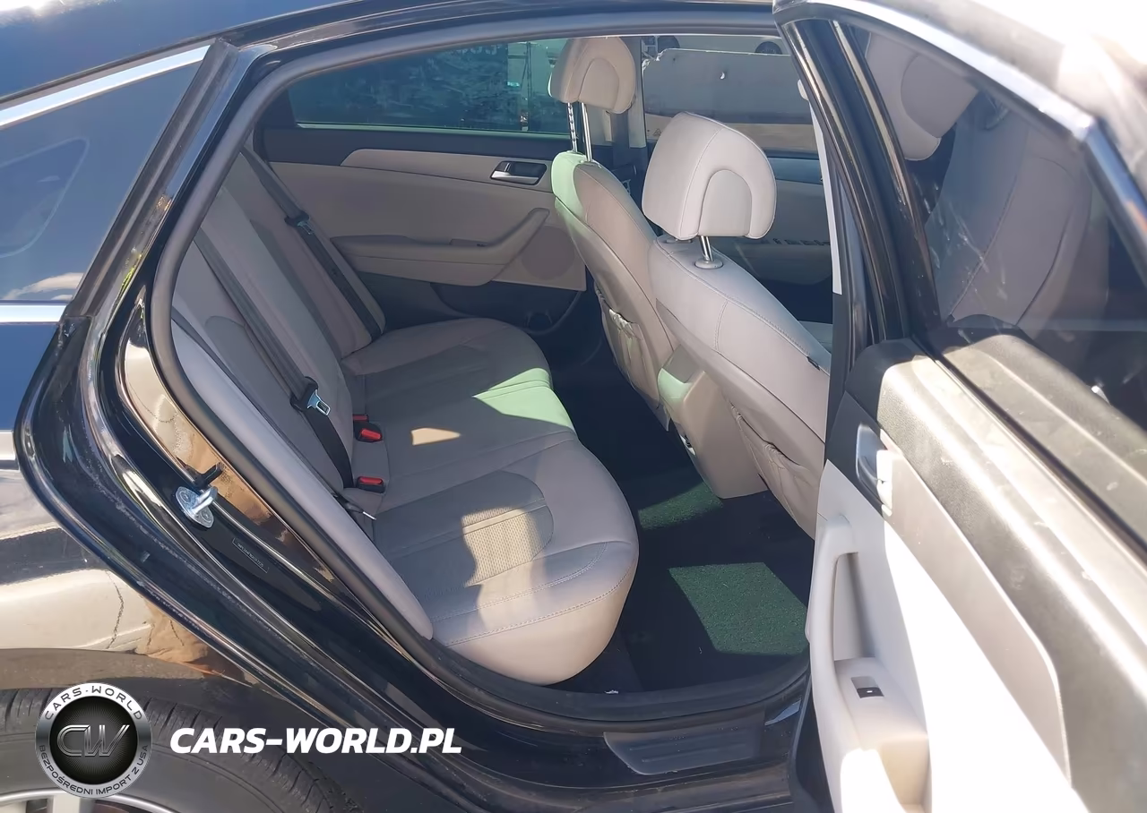 2016 Hyundai Sonata Se VIN:5NPE24AF8GH317225 - 8