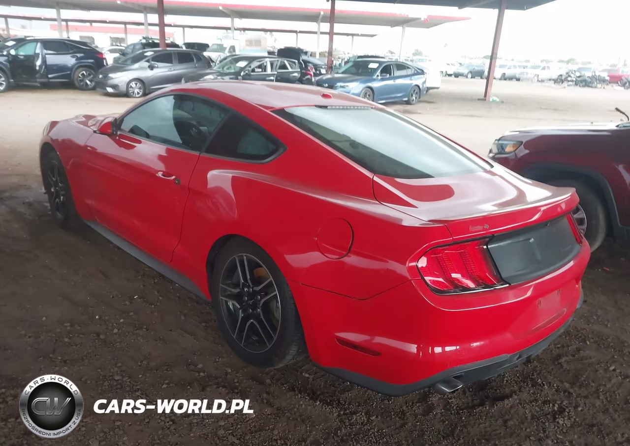 2018 Ford Mustang Ecoboost VIN:1FA6P8TH7J5176639 - 3
