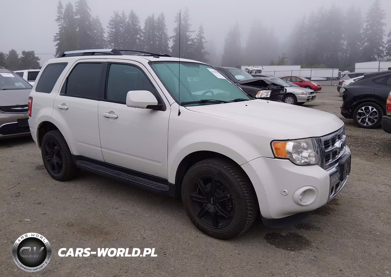 2010 Ford Escape Limited