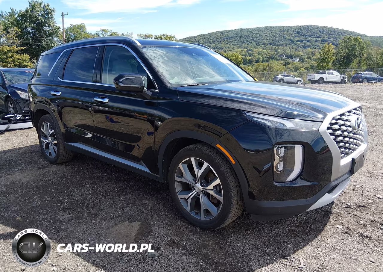 2021 Hyundai Palisade Sel VIN:KM8R4DHEXMU233753 - 1