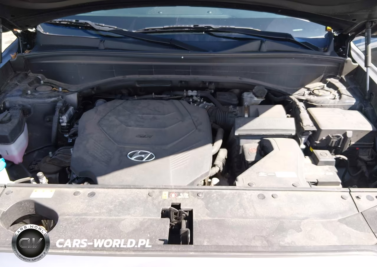 2021 Hyundai Palisade Sel VIN:KM8R4DHEXMU233753 - 10