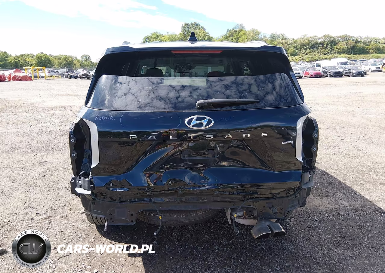 2021 Hyundai Palisade Sel VIN:KM8R4DHEXMU233753 - 17