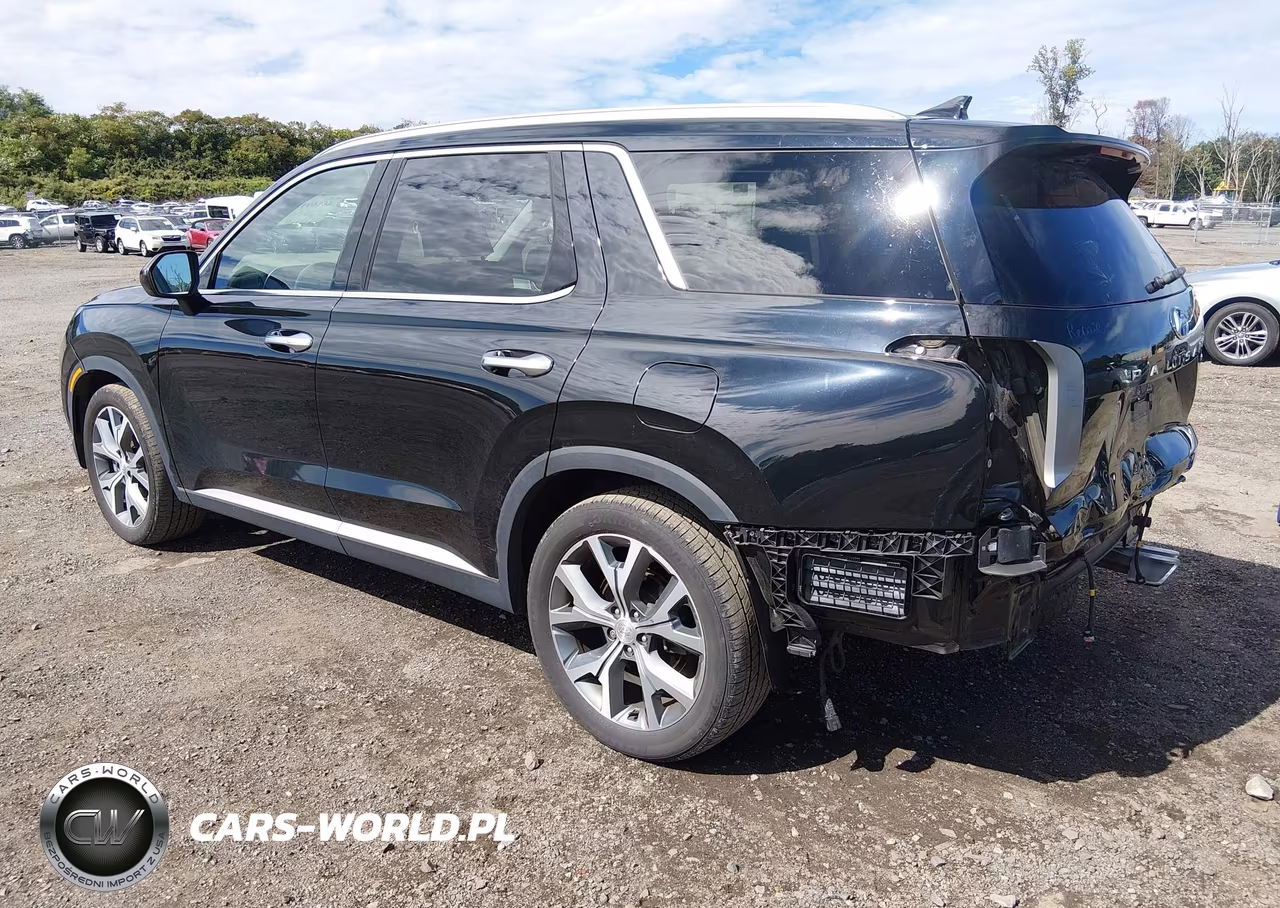 2021 Hyundai Palisade Sel VIN:KM8R4DHEXMU233753 - 3