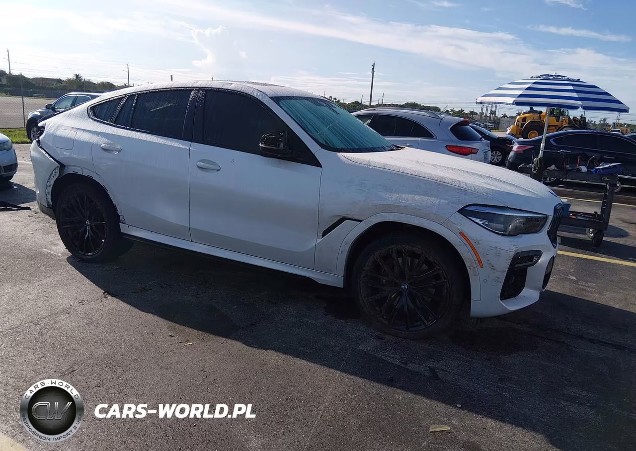 2023 BMW X6 xDrive40I VIN:5UXCY6C05P9N45958 - 1